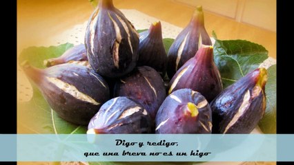 LA HIGUERA Y SUS HIJOS (2.015) by moterodiablo