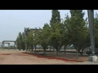 2005 Summer Vacation - Montreal (P4)
