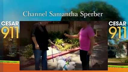 Cesar 911 S1 Ep2 Dog with a Bark