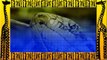 Giant ANACONDA attacks TIGER - Animal Fight Python vs Tiger vs Jaguar Real Fight