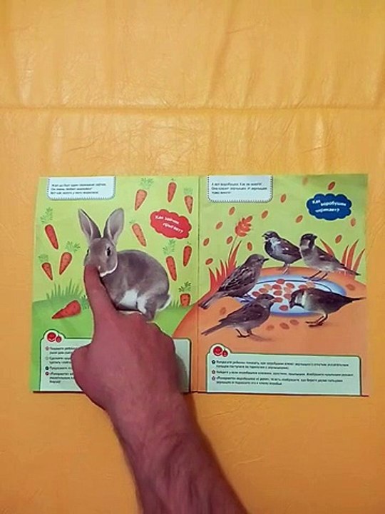 Пальчиковая гимнастика и пальчиковые игры