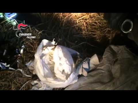 Palermo - Mafia, operazione ''Grande passo 3'' dei Carabinieri di Monreale (21.11.15)