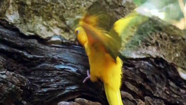 #PartiuBRASIL #Férias -=- Ministério do Turismo