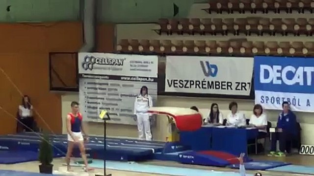 Maria Bondareva FX - Hungarian Meet 2014