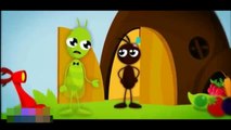 النملة والصرصور طيور الجنة بيبي - YouTube