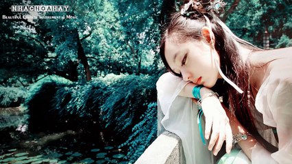 Beautiful Chinese Instrumental Music【16】 Crying Heart
