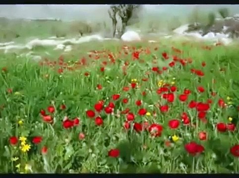 Ay Buluta Girmis Gece Yarisi Uzun Hava Kurdish Music