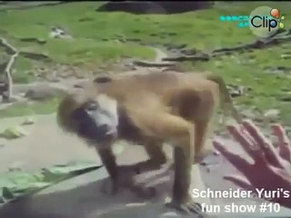 Hilarious Pranks & Funny Videos of 2015 😂