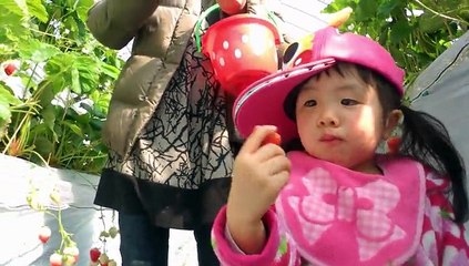 2013/3　プーさんのいちご園でいちご狩り