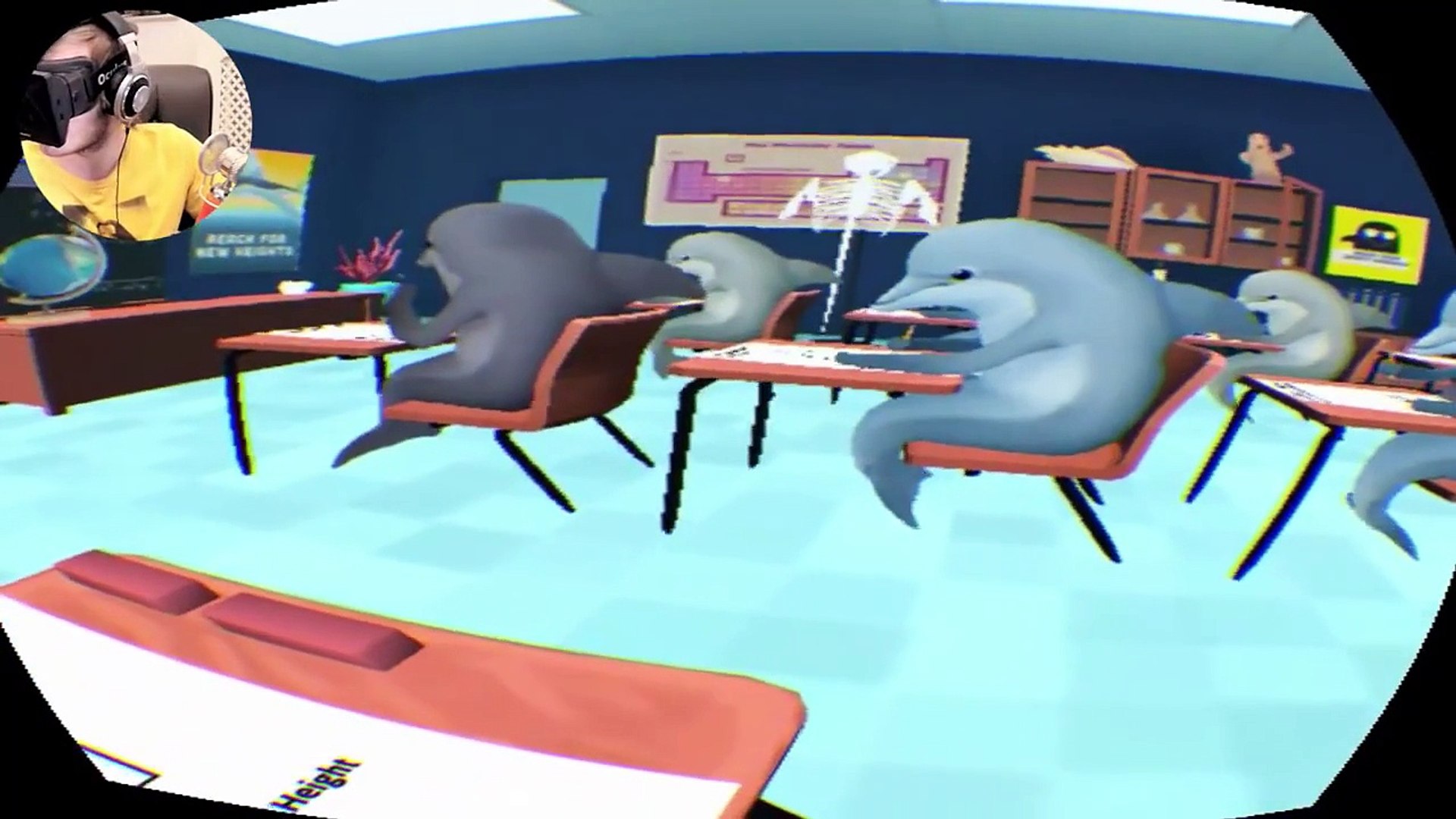 BECOME THE DOLPHIN | Classroom Aquatic