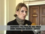 BSH: Ekonomia ne rënie - Vizion Plus - News - Lajme