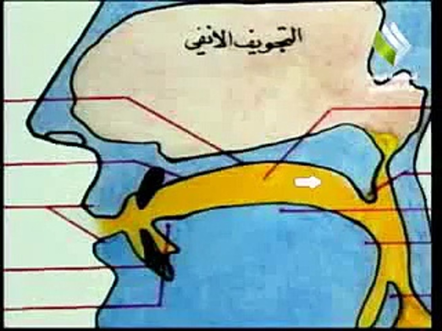 حروف السكر- الحلقة 2 - Dailymotion Video