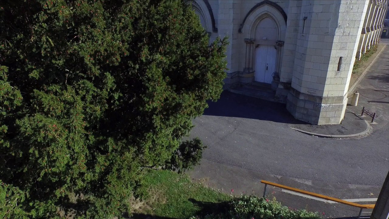 Eglise Saint Symphorien de Montjean sur Loire, vue par drone en automne, Pays de La Loire, France (9)