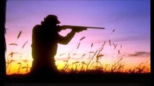 Волк отмстил, но отомстил без крови