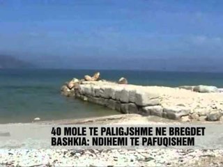 Orikum, molet e pa ligjshme - Vizion Plus - News - Lajme