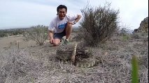 Would you get this close to a Rattler- These guys are crazy!