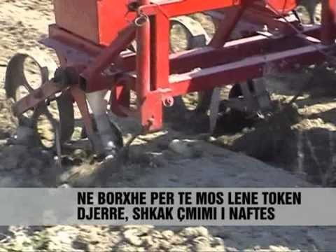 FIER PUNOHET TOKA ME LISTA - Vizion Plus - News - Lajme