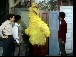 Classic Sesame Street Big Bird Feels Insecure