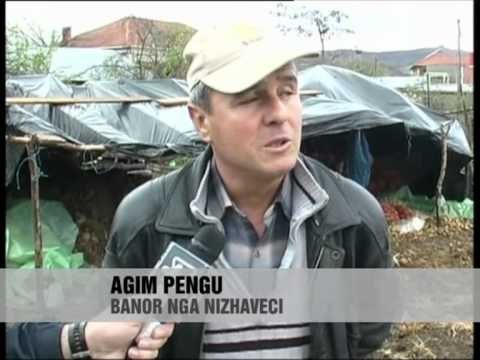 Prodhimi vendas mbetet stok - Vizion Plus - News - Lajme