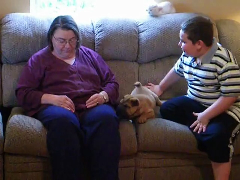 Best Funny Videos - Mom's new Shar Pei Puppy for Mother's Day