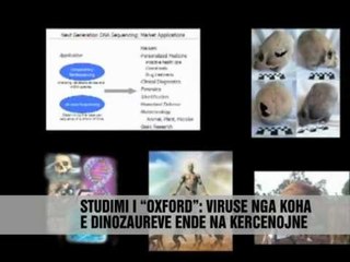 Zbulohen viruset e lashta - Vizion Plus - News - Lajme