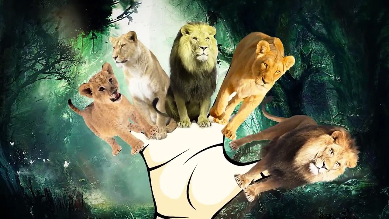 Lion Cartoons Finger Family Nursery Rhymes | Tiger Cartoons Finger Family Rhymes For Child