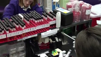 A Focus on Service: The Kansas State Veterinary Diagnostic Lab