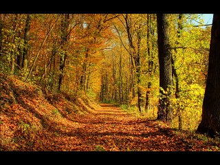 Beautiful Nature -सुंदर प्रकृति