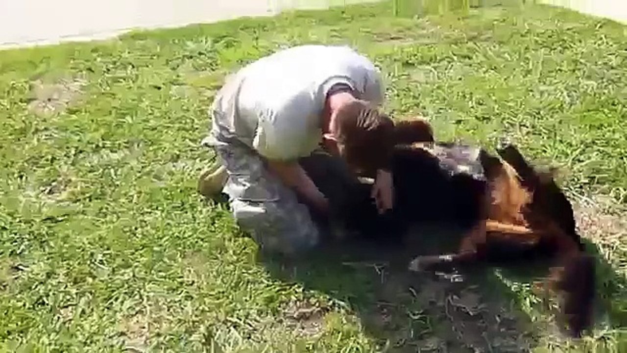 Huge Dog Turns Into a Puppy When Reunited With Owner