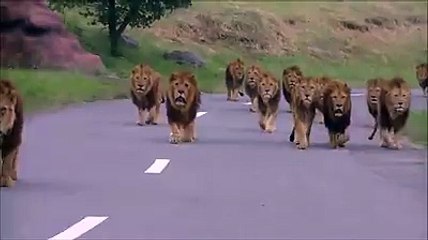 When The Pain Racists Inflicted Comes Back On Their Door 2 Roost