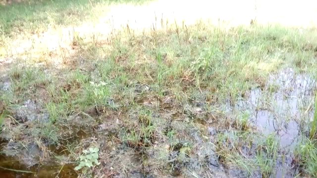 Flood In Pakistan 2015 deadly flood in River Indus at the district Layyah