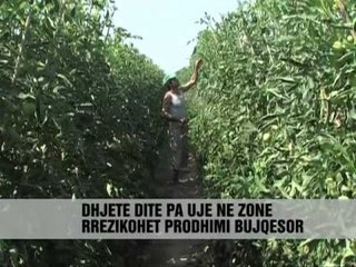 Download Video: Frakulli zhuritet për ujë - Vizion Plus - News - Lajme