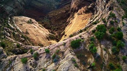 Pricing the Planet - Ep2 promo