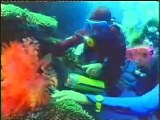 Anneka Rice goes scuba diving 2