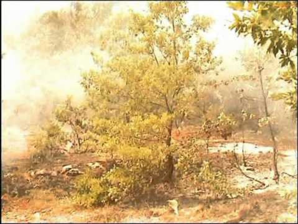 ZJARRE KUDO DIGJEN PYJET NEPER SHQIPERI NGA VERIU NE JUG TE VENDIT LAJM