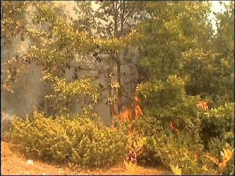 SHQIPERIA NE FLAKE NE TE GJITHE VENDIN MBETEN EDHE 28 VATRA AKTIVE ZJARRI LAJM