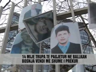 30 gushti, dita e te zhdukurve - Vizion Plus - News - Lajme