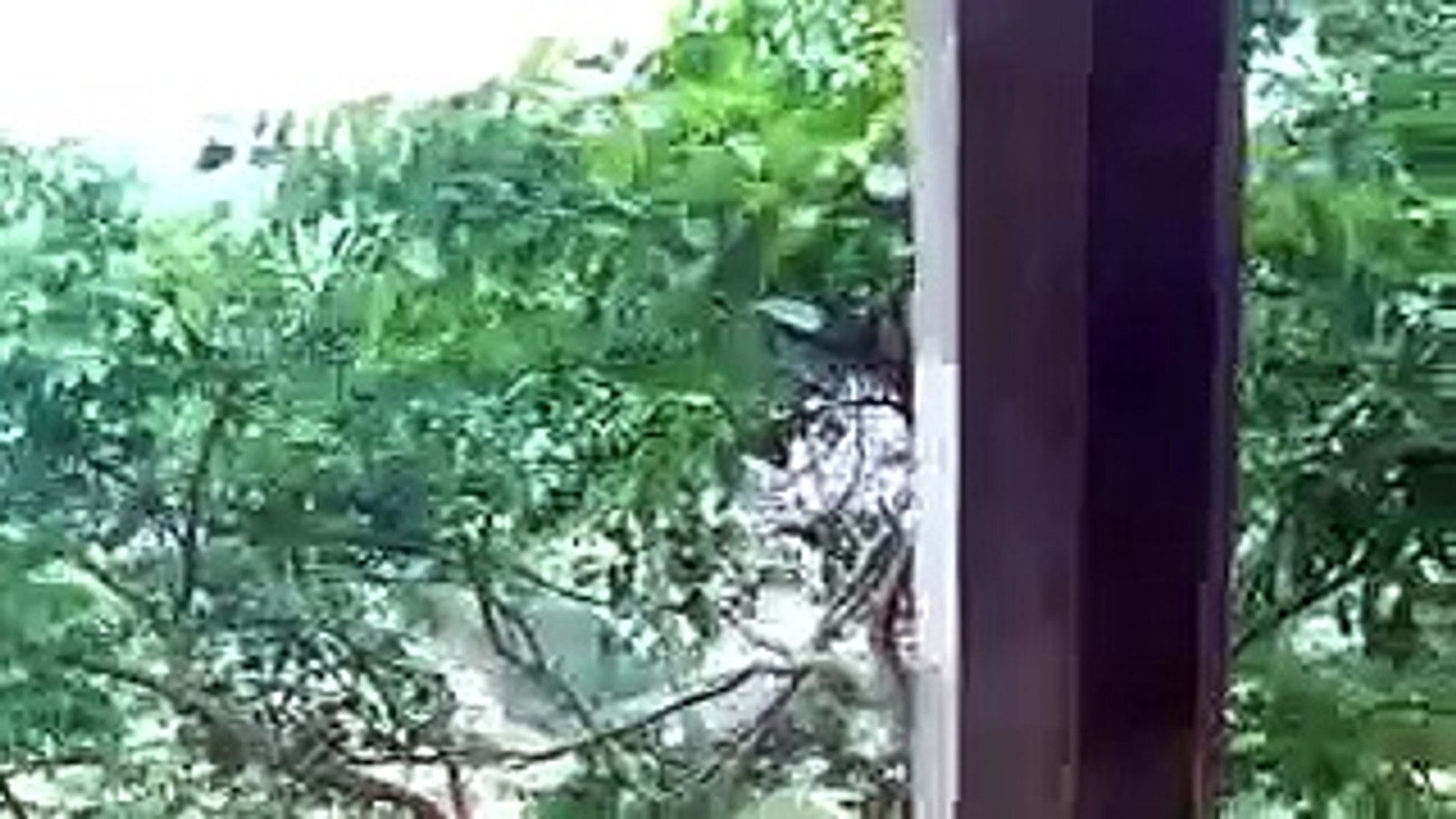 Very very scary ghost videos poltergeist ghost