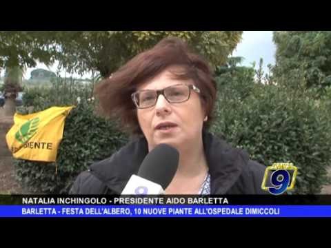 BARLETTA | Festa dell'albero, 10 nuove piante al Dimiccoli