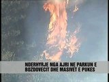 Zjarret, nis aksioni nga ajri - Vizion Plus - News - Lajme