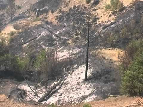 SITUATE E VESHTIRE MEGJITHE DYFISHIMIN E USHTAREVE ZJARRET DJEGIN SHQIPERINE LAJM