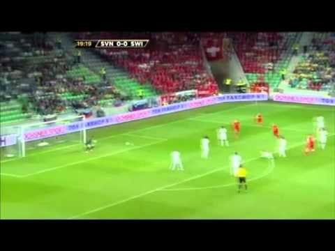 SHAQIRI SHOKON ZVICREN NE TE ARDHMEN MUND TE LARGOHET TE LUAJE PER KOSOVEN LAJM