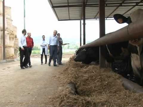 RAMA NE KASHAR PREMTON LEHTESIRA PER FERMERET KUR PS TE VIJE NE PUSHTET LAJM