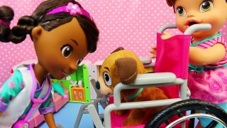 Doc McStuffins Pet Vet Findo Gets Wheel Chair at Popo Ambulance Hospital with Baby Alive L