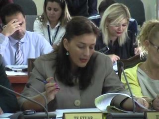 STATUSI I NEPUNESIT CIVIL MAZHORANCA RREZON AMENDIMET E KOMISIONIT TE SHERBIMIT LAJM