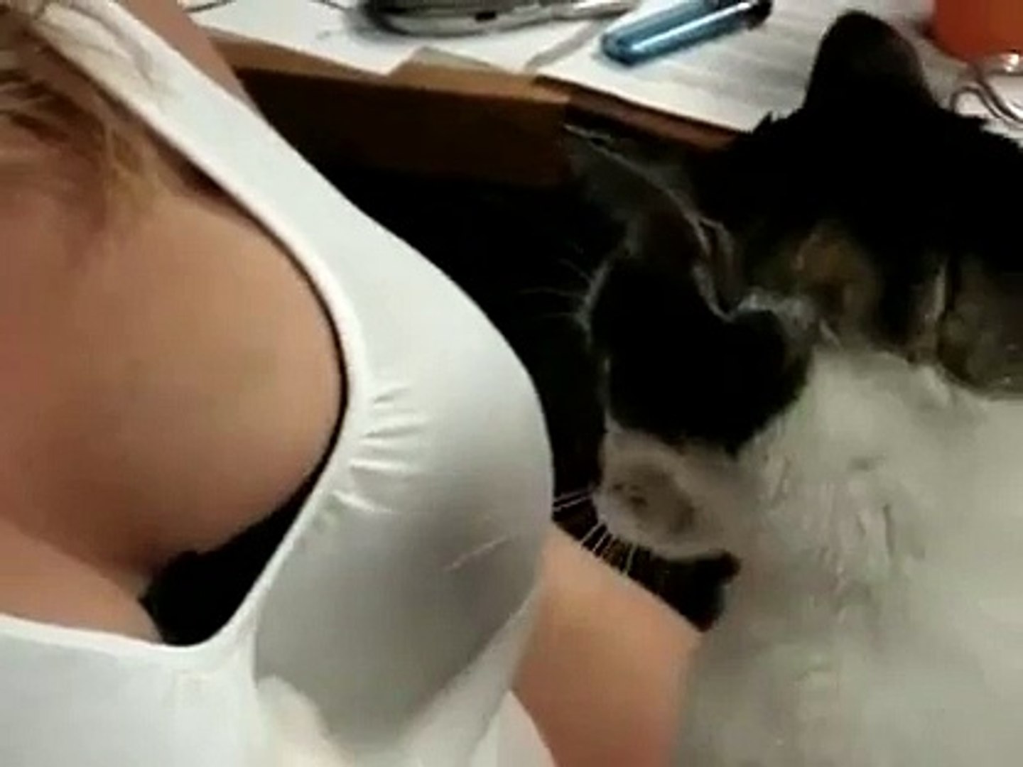 Jealous Of A Cat VS Hot girl! So funny
