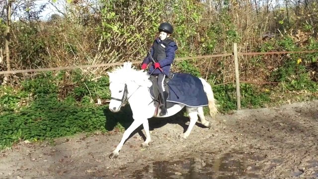 Alicia monte pour la première fois un double poney (Rihanna) en novembre 2015