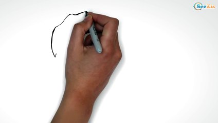 Funny Animals Cartoon - Dogs - Educational & Developing Video