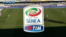 Gonzalo Higuain annullato gol  Hellas Verona vs Napoli 0-0 Serie A 22.11.2015