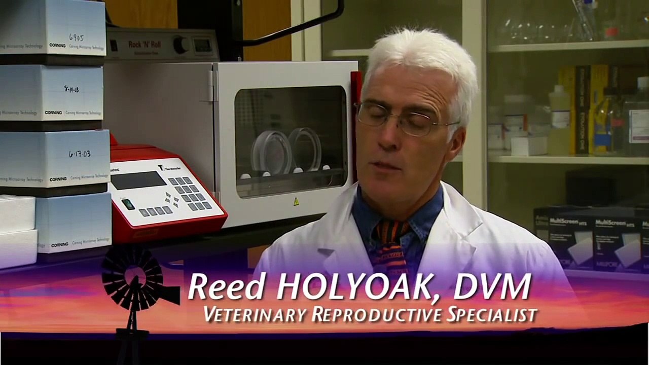 Jeff Baxter Offers Update on Trichomoniasis in Cattle